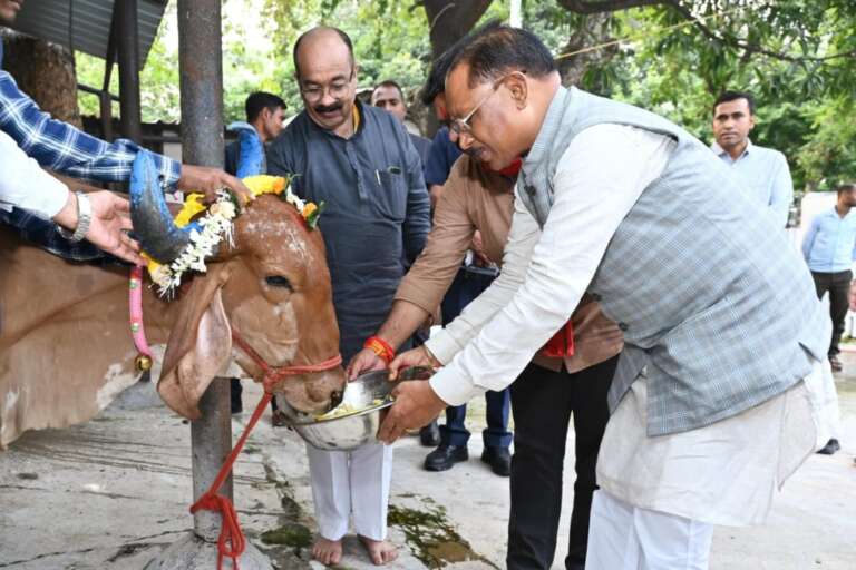 *मुख्यमंत्री श्री विष्णु देव साय ने गोवर्धन पूजा के अवसर पर की गौ वंश की पूजा-अर्चना*