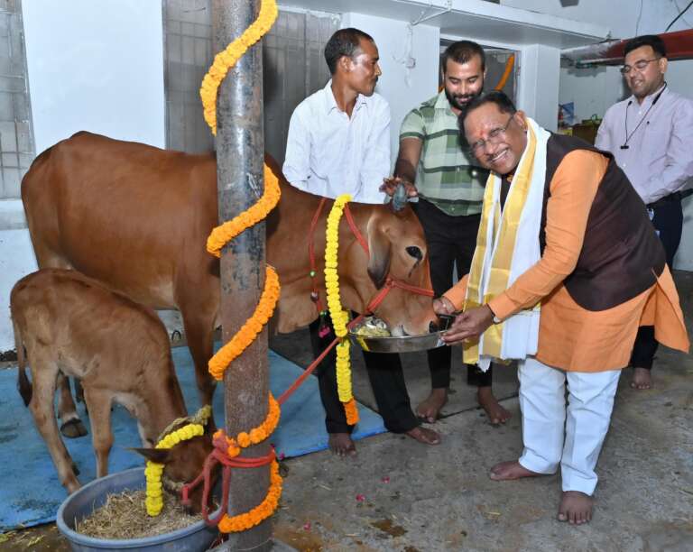*गोवर्धन पूजा के अवसर पर मुख्यमंत्री ने किया गौपूजन, प्रदेशवासियों की सुख-समृद्धि की कामना की*