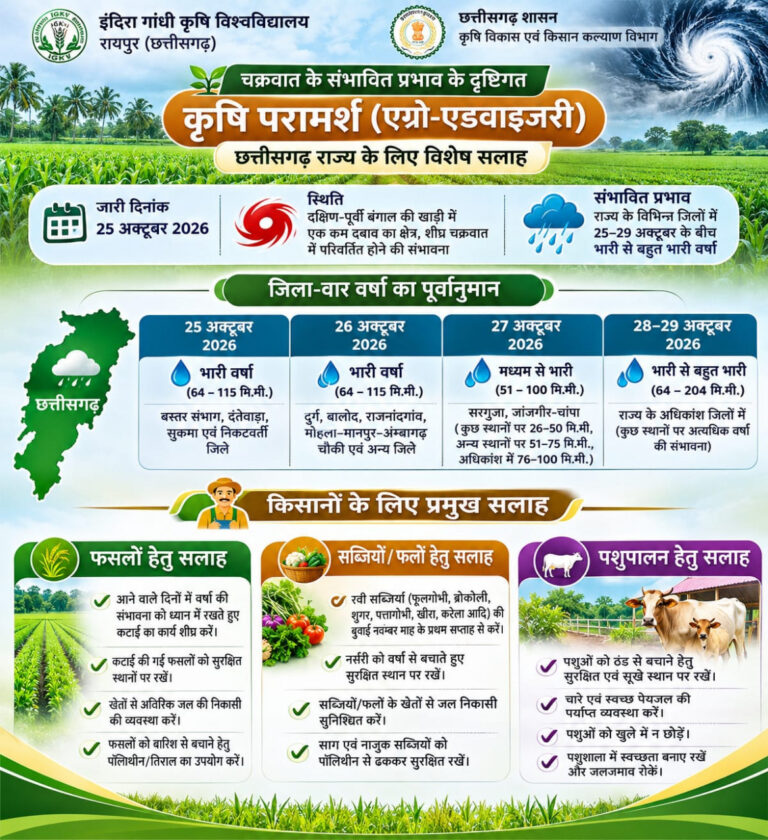 चक्रवात के प्रभाव से छत्तीसगढ़ में बढ़ेगी वर्षा की गतिविधियां, किसानों के लिए मौसम आधारित सलाह जारी….